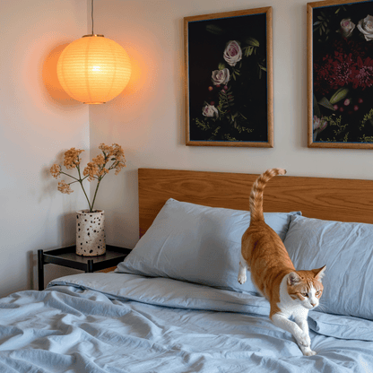 Rose Photography Print 1/4